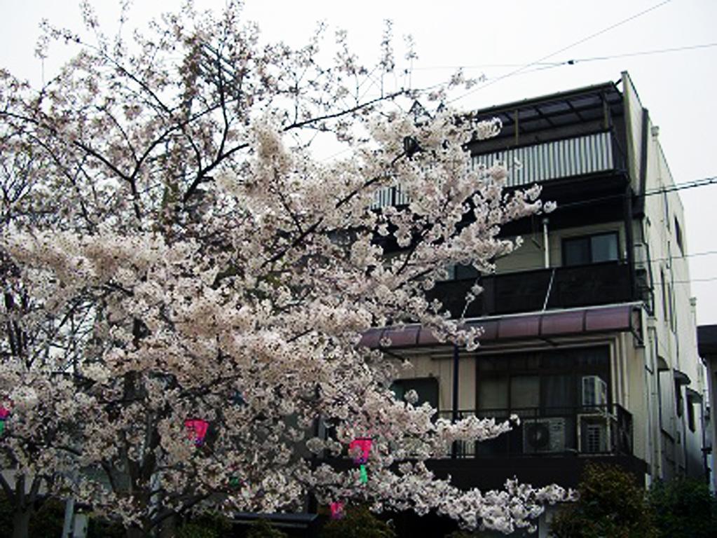 W.K Inn Ōsaka Eksteriør bilde